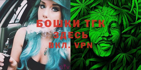 спиды Богданович