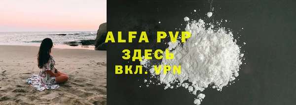 спиды Богданович