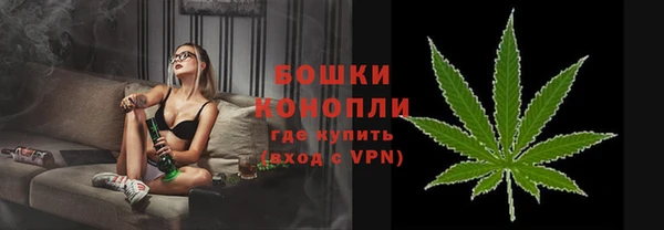 СК Бородино