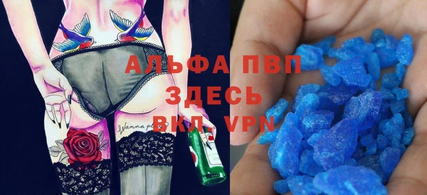 спиды Богданович